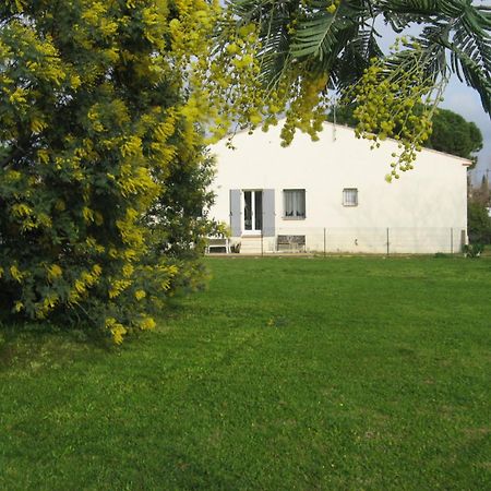 Lumineux Agreable T2 De 32M2 Apartman La Londe-les-Maures Kültér fotó